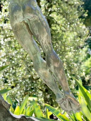 Orto botanico